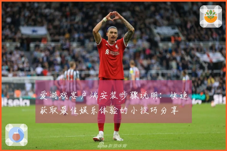 爱游戏客户端安装步骤说明：快速获取最佳娱乐体验的小技巧分享